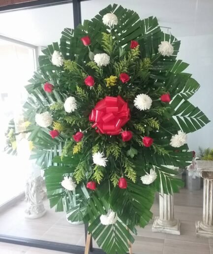 Corona Polar – Rosa