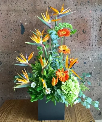 Ave del Paraíso y Gerberas