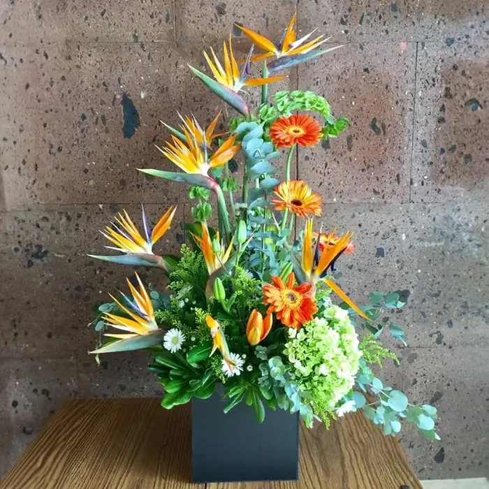 Ave del Paraíso y Gerberas