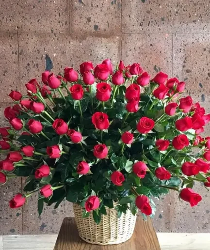 100 Rosas en Canasta