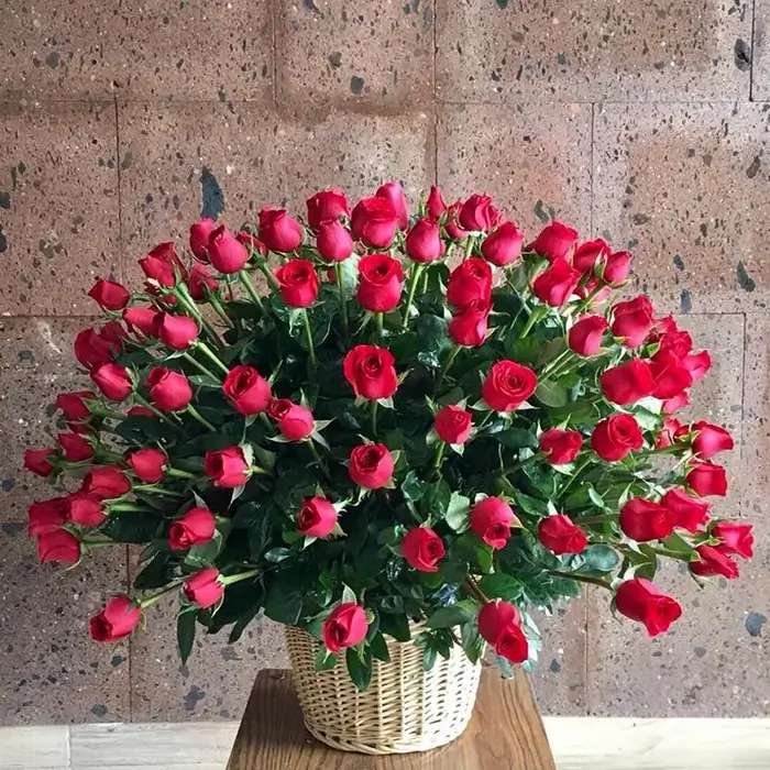 100 Rosas en Canasta