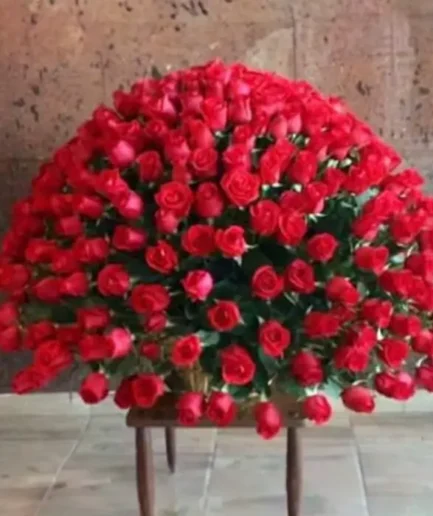 400 Rosas en Canasta