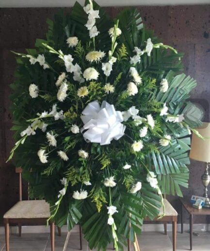 Gladiola Polar Spider