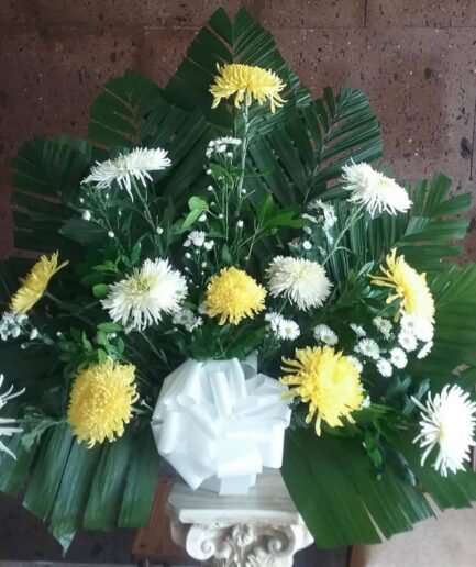 Maceta Codorniz Spider