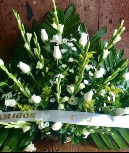 Maceta Gladiola Rosa