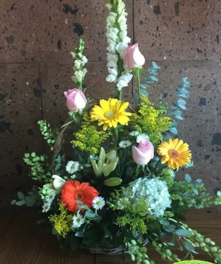 Media Docena en canasta