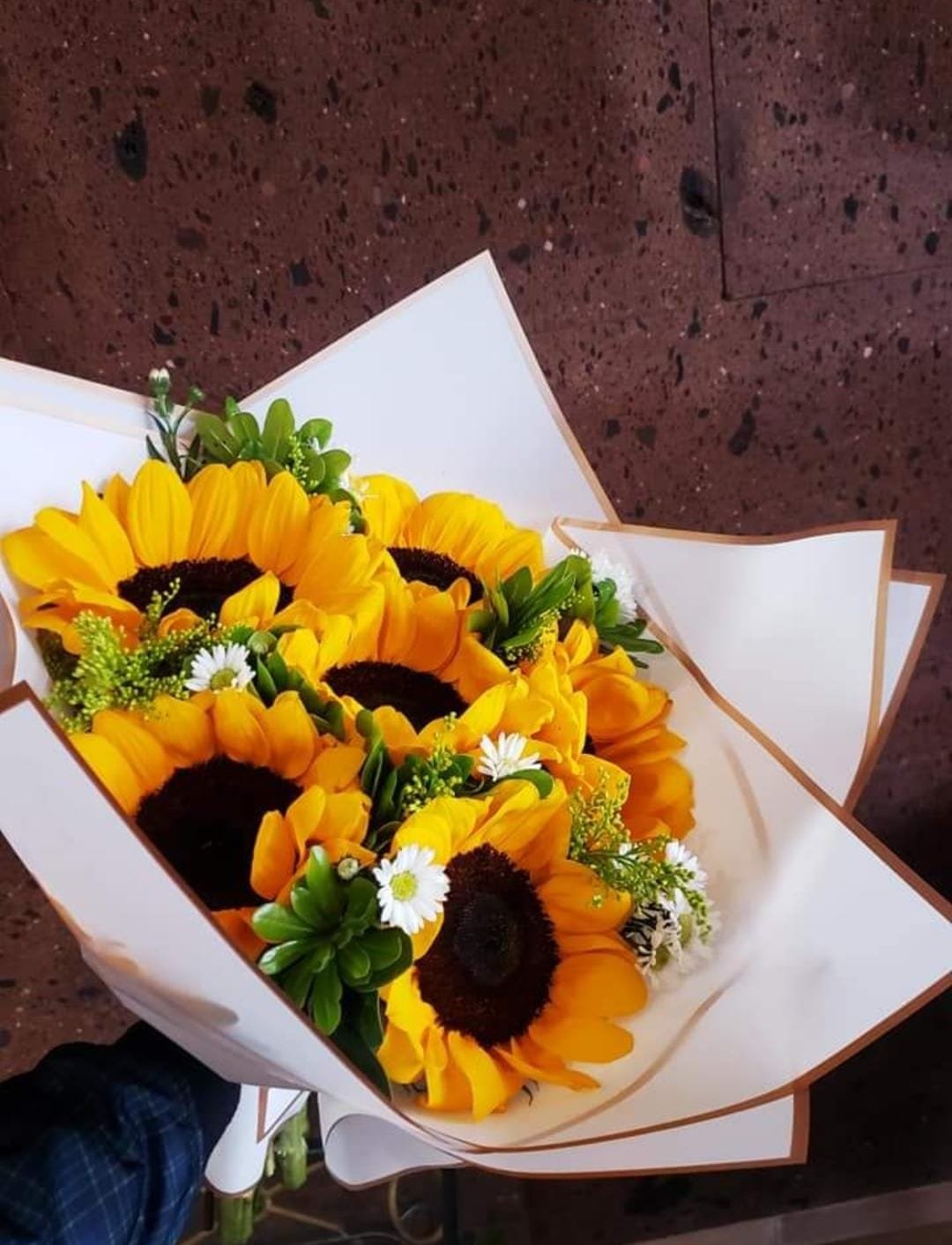 Ramo de 6 girasoles grandes y frescos para envío a domicilio en Ciudad Juárez y El Paso.