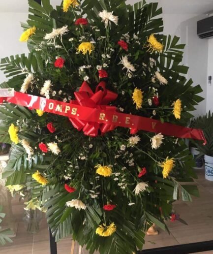 Spider Codorniz Clavel