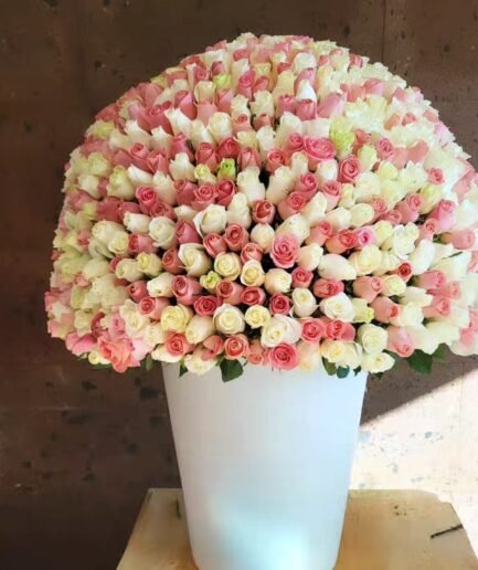 1000 rosas en cilindros