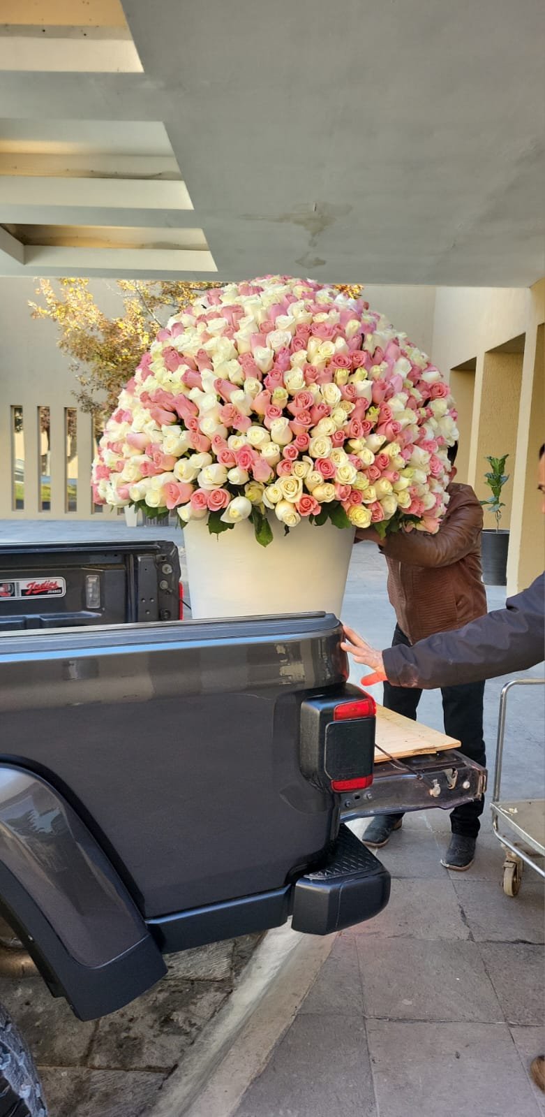 1000 rosas en cilindros - Image 2