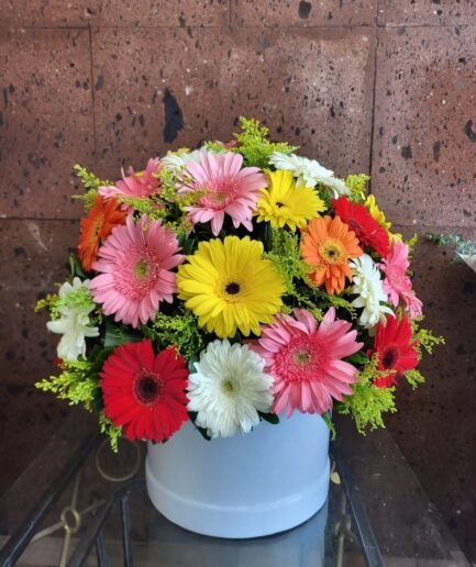 Cilindro 50 Gerberas.