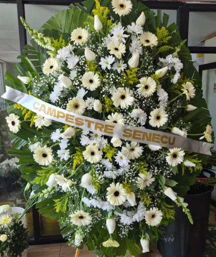 Corona Perritos, Rosas y Gerberas (Jumbo) – Flores en Cd. Juárez