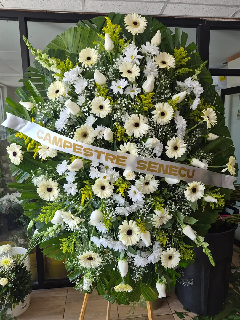 Corona Perritos, Rosas y Gerberas (Jumbo) – Flores en Cd. Juárez
