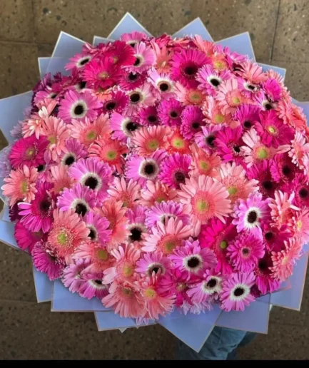Ramo 100 Gerberas – Flores en Cd. Juárez