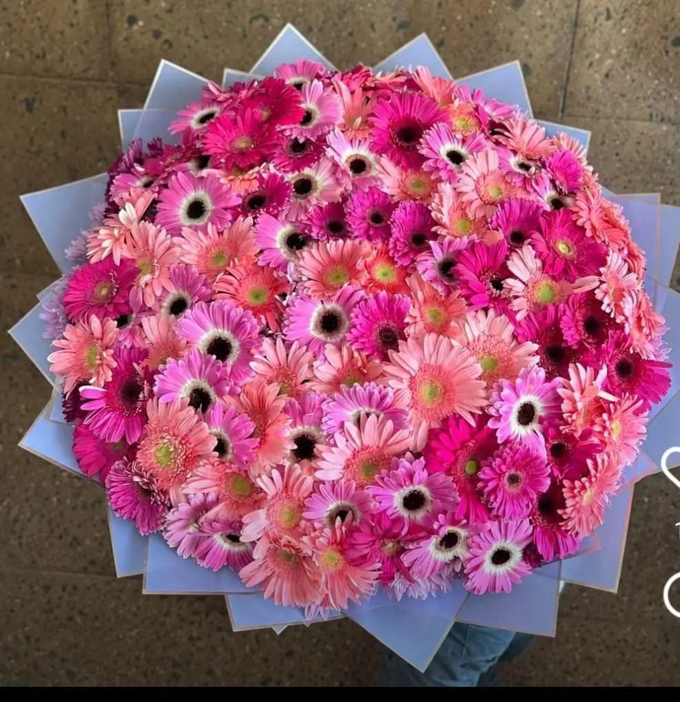 Ramo 100 Gerberas – Flores en Cd. Juárez